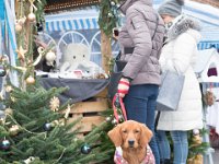Allerlei Weihnacht -Weihnachtsmarkt Holzweiler 2019 -32