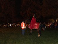 Sankt Martin 2025-49