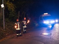 Sankt Martin 2025-69